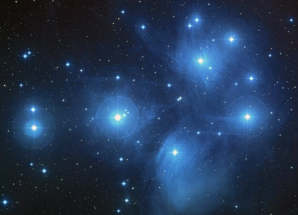 Tall Whites: Secrets of the Enigmatic Alien Species 3 pleidas image star of tall whites alien